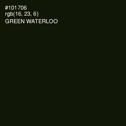#101706 - Green Waterloo Color Image